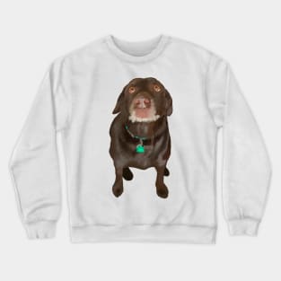 Chocolate Labrador Dog Crewneck Sweatshirt